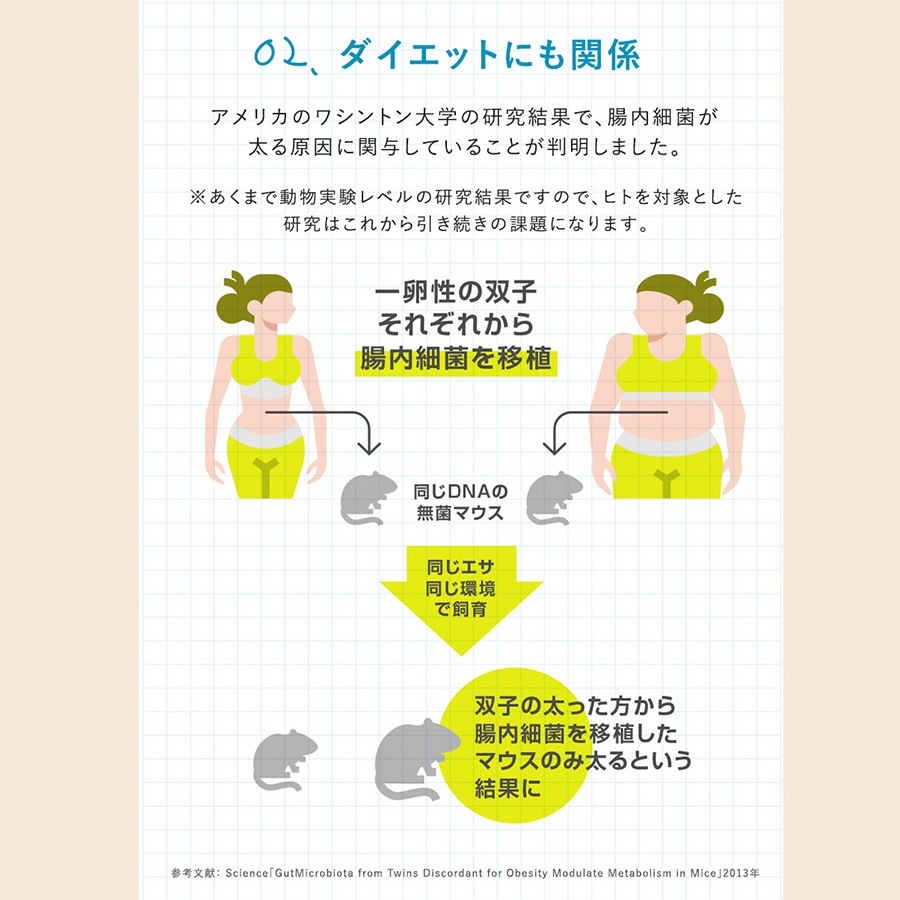 ��45��OFF 3�����1�٤Τ��Ϥ���BroadBifi �֥����ɥӥե� ��ǽ��ɽ������ 90��ʬ 90��