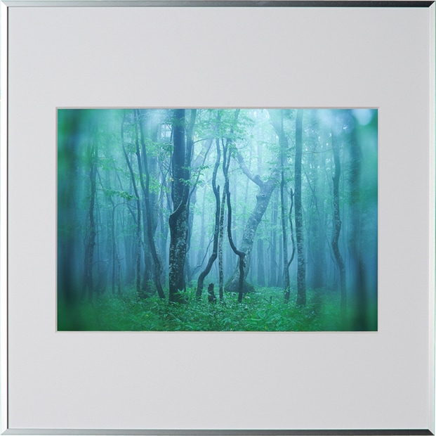 パーフェクトペテンシー　4枚セット　一枚だけシク　写真三枚目オマケ有り パーフェクトペテンシー シク パーフェクトペテンシー シク 4枚 Amazon