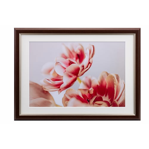 Kenko アルミ額縁　ピクチャーフレーム (5点セット) ギャラリー | ケンコー・トキナー