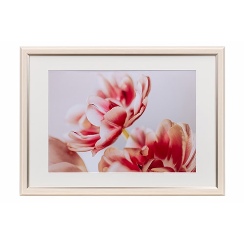 フォトフレーム・額縁 | ケンコー・トキナー オンラインショップ公式店