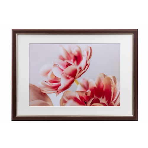 フォトフレーム・額縁 | ケンコー・トキナー オンラインショップ公式店