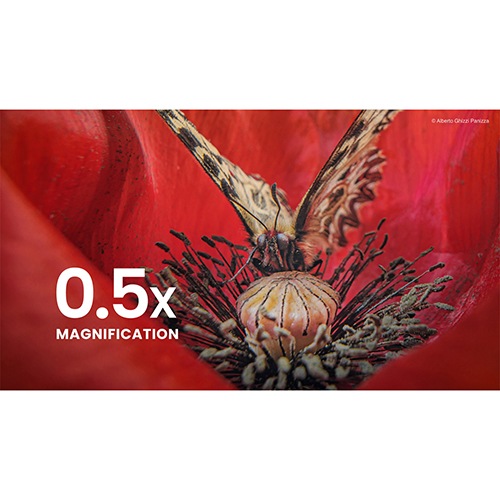 レンズ(単焦点) laowa 15mm f4 wide angle macro LAOWA 15mm F4 WIDE ANGLE MACRO | 製品情報 | LAOWA