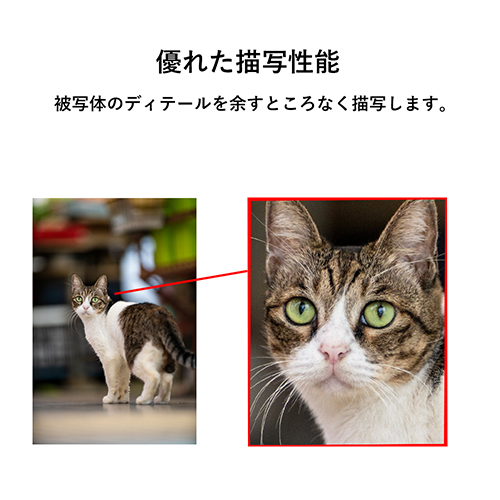 取寄】 (SJ) 200mm F2 AF FF ソニーEマウント LAOWA ラオワ【送料無料