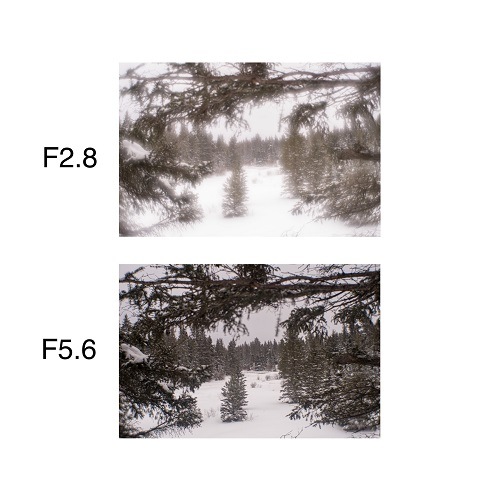 レンズベビー　ソニー Eマウント　ソフト効果　レンズ【新品】ケンコートキナー Soft Focus II 50 | その他ボディ + オプティック セット | ケンコー