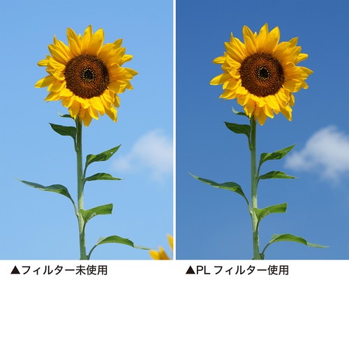 即配】58mm PRO1D C-PL(W) N ケンコー KENKO 撮影用フィルター