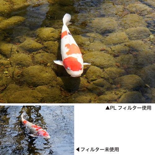 即配】58mm PRO1D C-PL(W) N ケンコー KENKO 撮影用フィルター