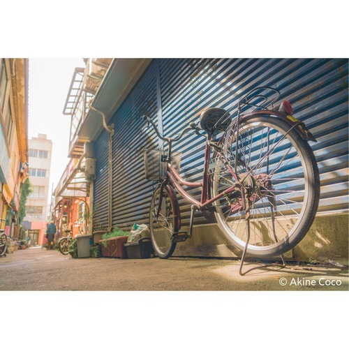 10%OFFクーポン対象】【即配】(KT) 67mm ノスタルトーン・オレンジ