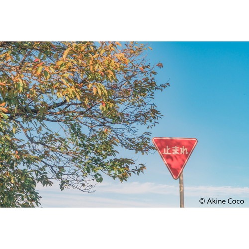 10%OFFクーポン対象】【即配】(KT) 67mm ノスタルトーン・オレンジ