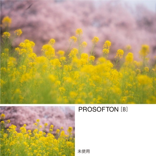 即配】 77mm PRO1D プロソフトン[B](W) 【効果強タイプ