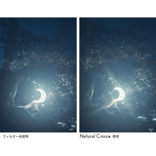 即配】(KT) 82mm PRO1D R-ナチュラルクロス [4本線] ケンコー KENKO