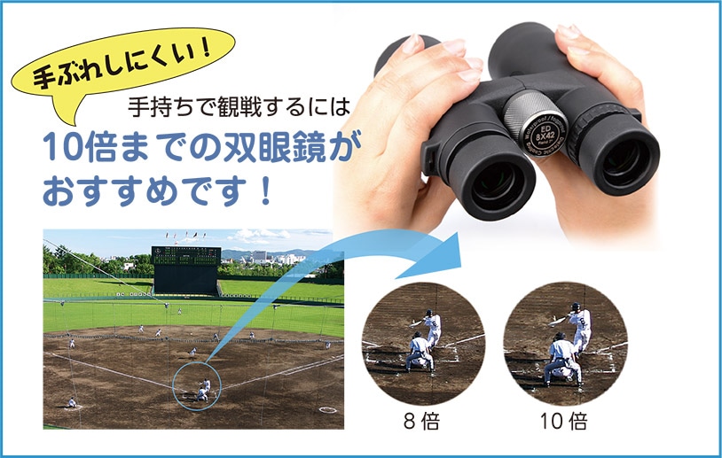 即配】8倍双眼鏡 CERES セレス GV 8x21 C11 ホワイト ケンコー KENKO
