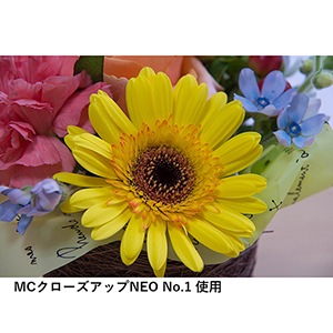 3_000000004282.jpg?1678209908