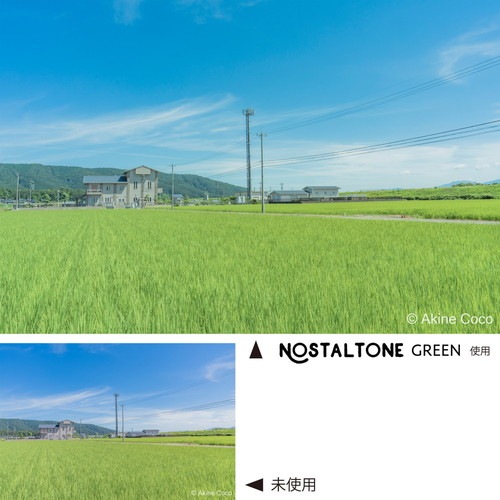 即配】(KT) 67mm ノスタルトーン・グリーン ケンコートキナー KENKO