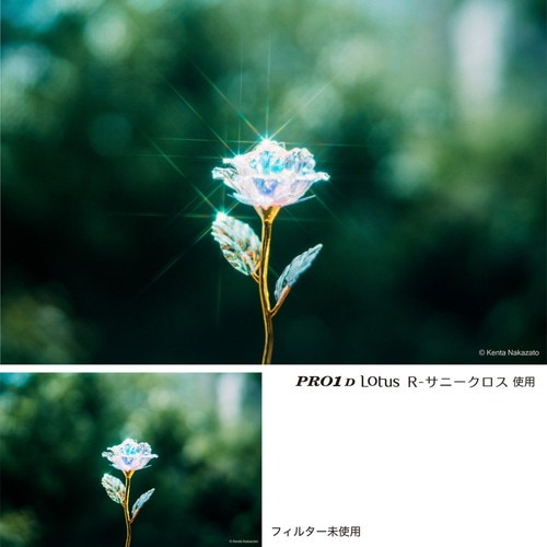 6/19発売予定】【即配】82mm PRO1D Lotus R-サニークロス [8本線