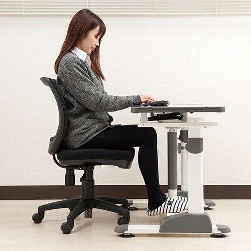 藤原産業 創造区 低い椅子デスクチェア LDcS-W47.5 成人女性に