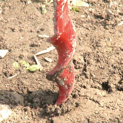 穴田さん専用 PU-816A(30698) 2穴パンチ フォース1/2 Sサイズ PLUS(プラス