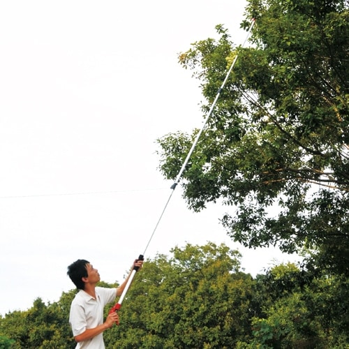 藤原産業 E-Value 伸縮式高枝切鋏(鋸付き) EGLP-1 枝切り作業もでき