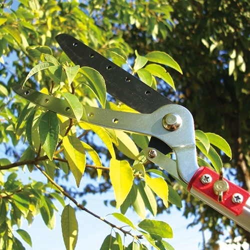 正吉ノミ木製ハンドル 約20cm Amazon | KAKURI 国産木ノミセット 【ロングハンドル】3点 木工用 日本