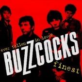 BUZZCOCKS/EVER FALLEN IN LOVE? Хå ٥