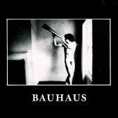 BAUHAUS/IN THE FLAT FIELD Хϥ ŰǤŷ 80ǯ