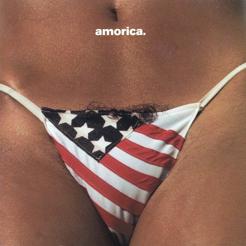 THE BLACK CROWES/amorica. アモリカ ブラック・クロウズ 94年作 国内 ...