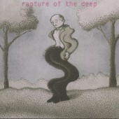 DEEP PURPLE/RAPTURE OF THE DEEP 2005年作 国内盤 ラプチャーオブ・ザ・ディープ
