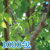 ڶ̳ѡ ƥХå 1000̵åѥᥬʤȤ夦2500g(2.5g1000100  ȥ奦 Ȥ夦