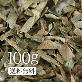 100g뤤ƤΤĤˤ⡪ڥåȥƥ    ӤOM