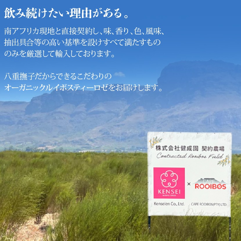 �륤�ܥ��ƥ��� ���� �ƥ����Хå� �ƥ����ѥå� 2g��100�� �������˥å� ͭ��JAS �Υ󥫥ե����� ��Ф�OK �ե졼�С� �ϡ��֥ƥ��� ���꡼��륤�ܥ� ��åɥ륤�ܥ� ���� �� ǥ�� �ޥ��˥ƥ� �ڥåȥܥȥ��� ���� ����̵��