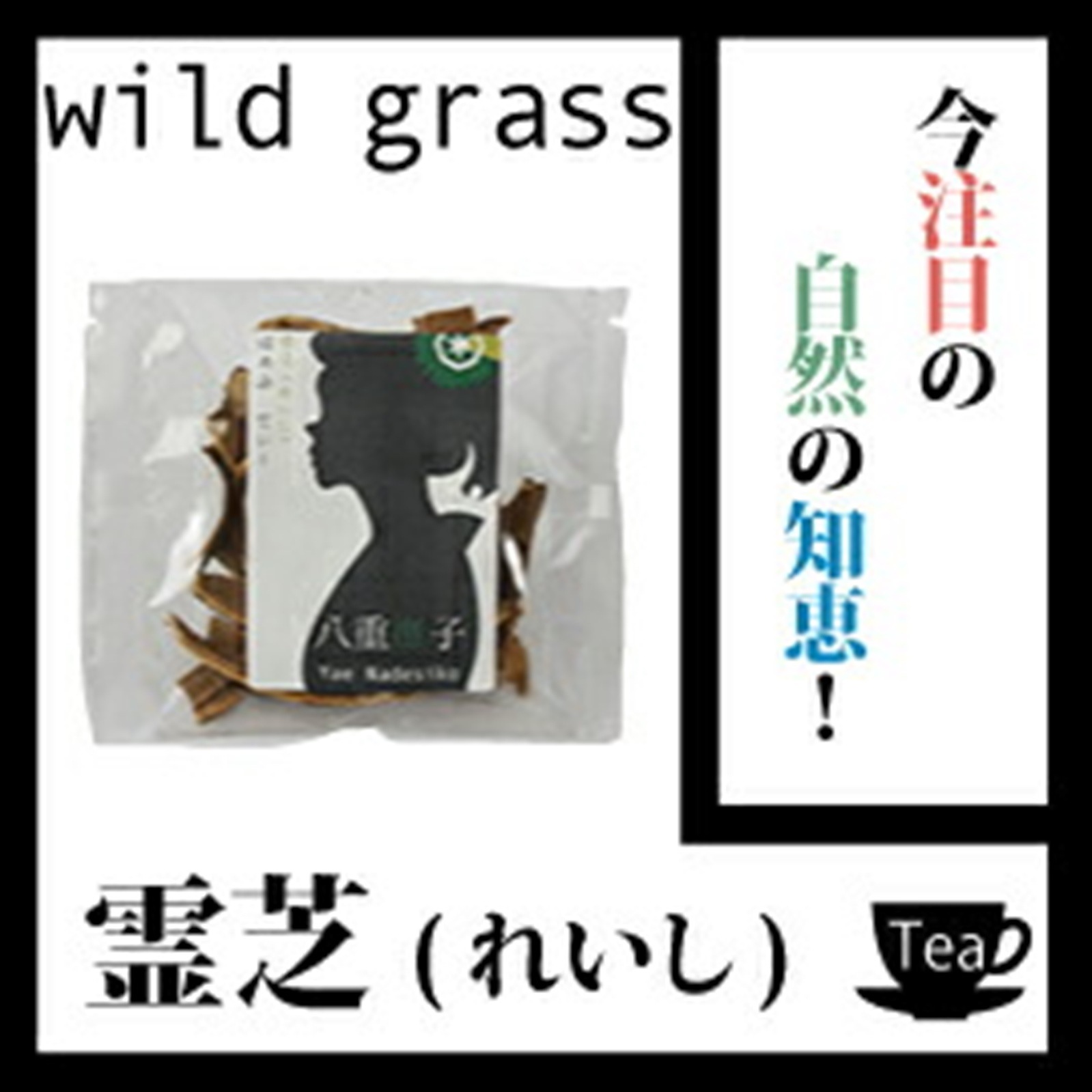 ������̵���۲��Ͳ��ʡ������15�� �����ܤμ������ηá��ڷ򹯡ۡڷ���/���������� �쥤��