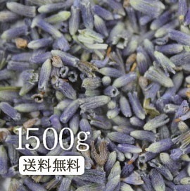 �ڶ�̳�Ѳ��ʡ��ۥ�٥�����ƥ���A��1500g�����䤫�ǹ��ι⤤ͥ���������ڷ򹯡ۡڥϡ��֡ۥ�٥�����ϡ��֥ƥ���1.5����