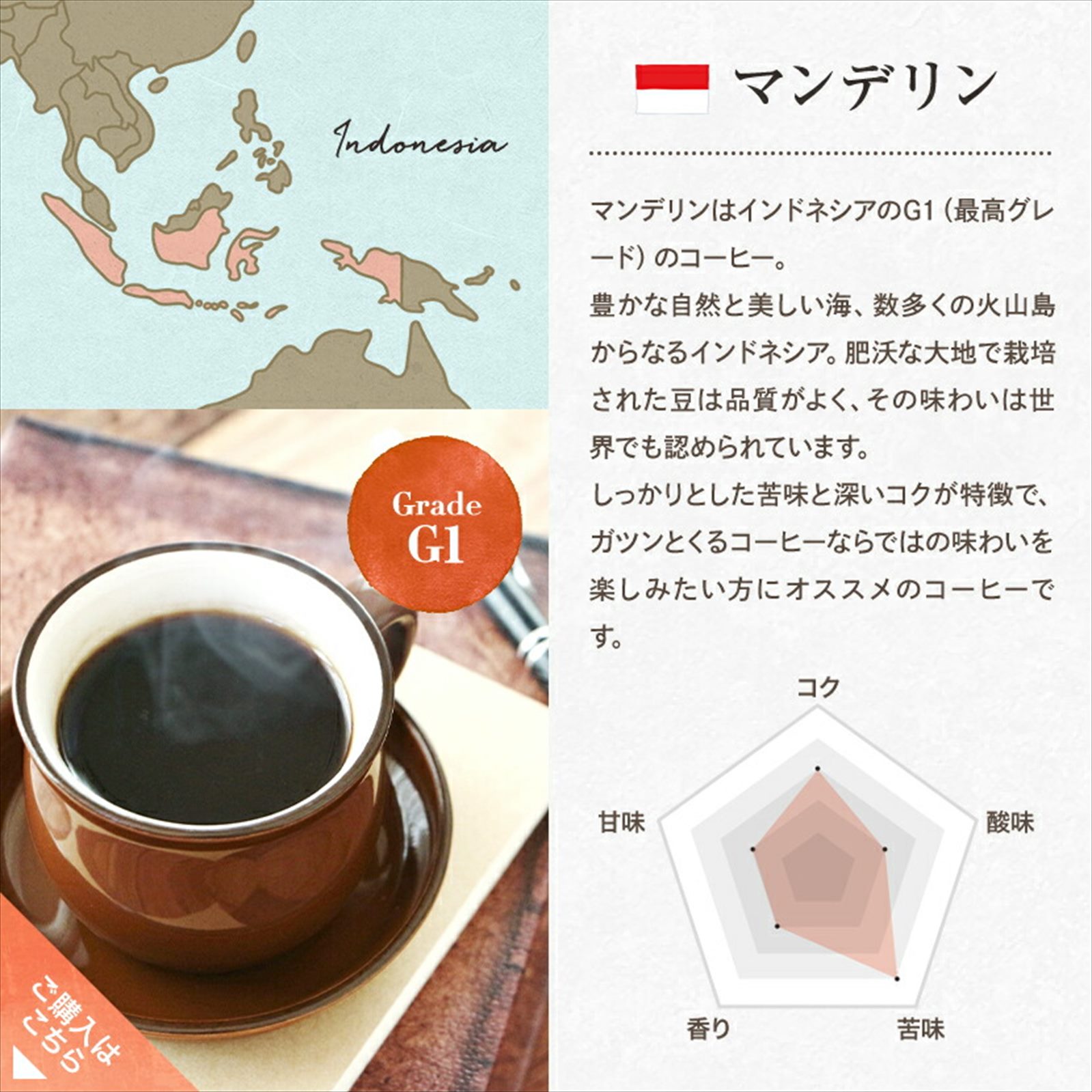 �����ҡ� ����  �ޥ�ǥ�� MGC�ƥȥ饳���ҡ� 6g30�� 2000�� �ƥ����ѥå� ��Ф������ҡ�