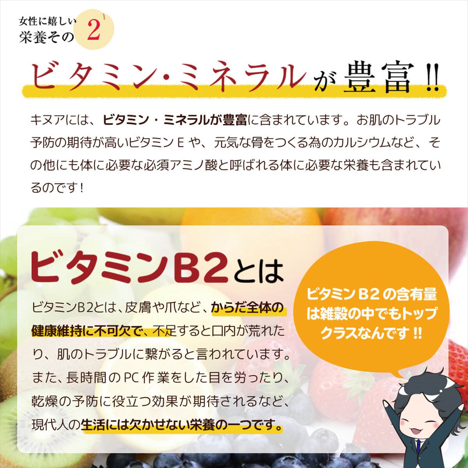 ѡաо졪̥(˥å)1kg̵2380ߡӤ˾ǤʢäѤڥ̥/̤