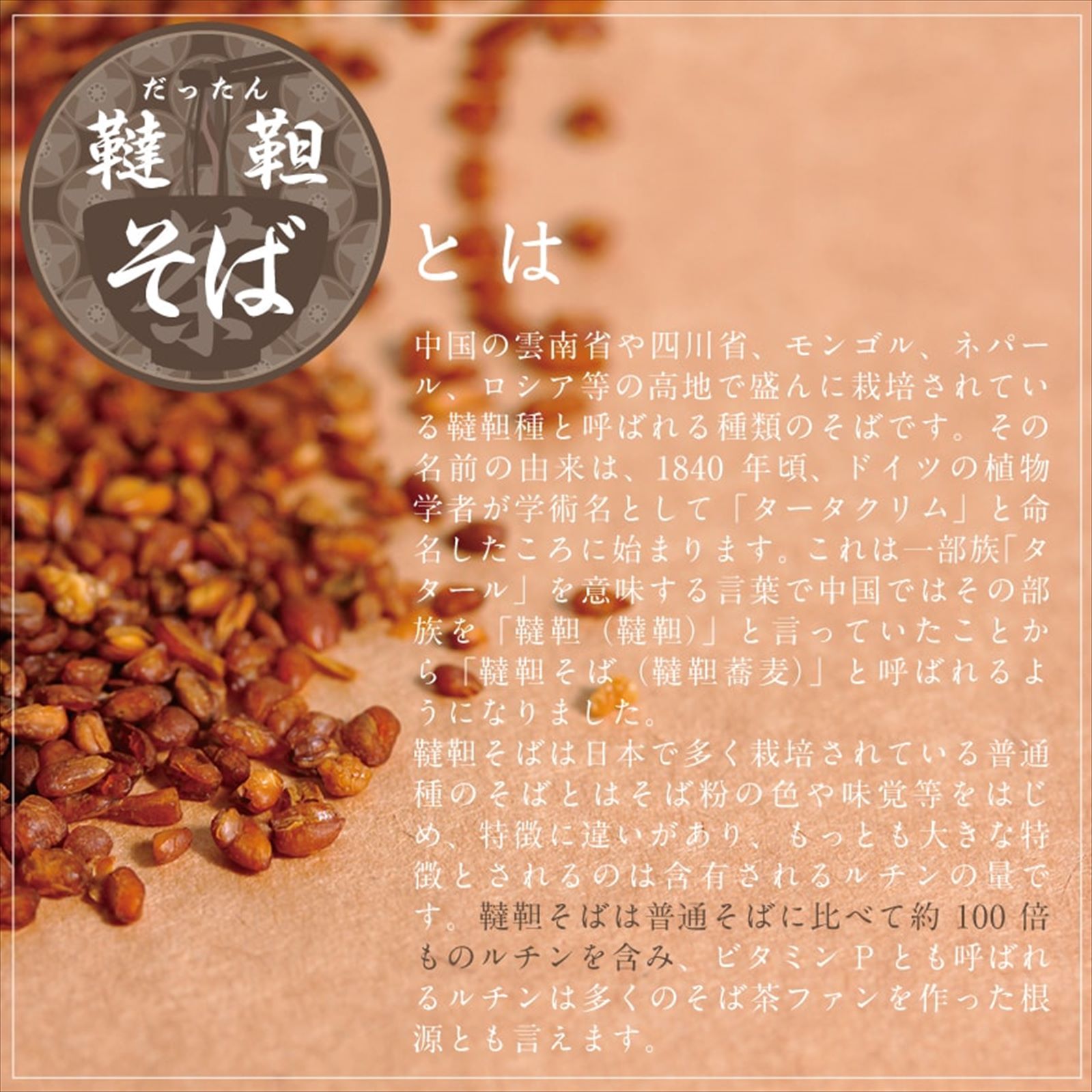 �ڶ�̳�ѡۤ���������ڤ�����˥ƥ����Хå�2400g(3g��800��)������̵�����̤ʤ�����äƤʤ������ڶ����ʤ��ä��󤽤С���ڤ�����/������/���å��󥽥С�