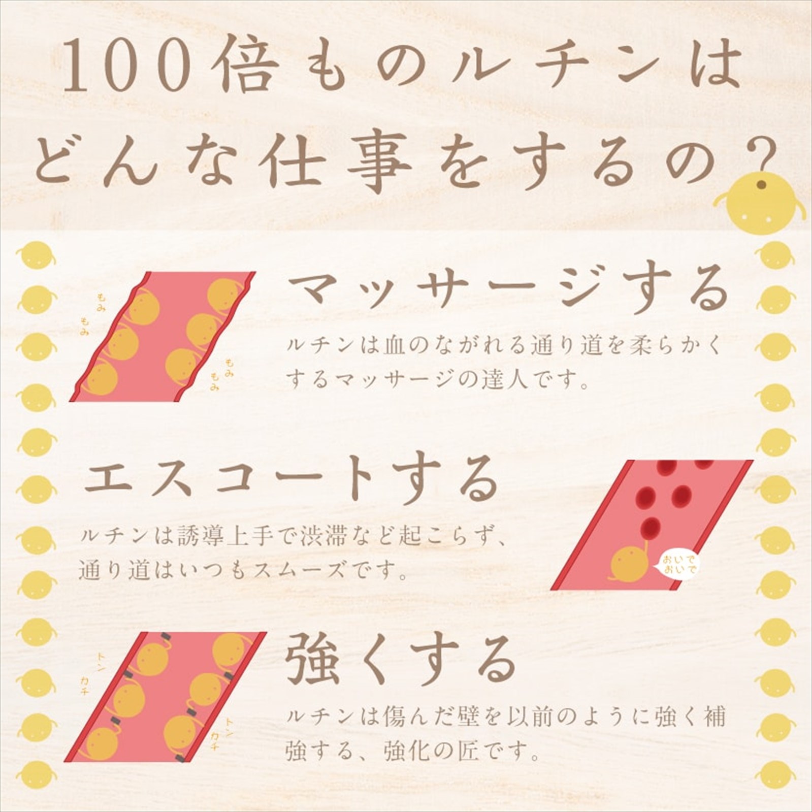 �ڶ�̳�ѡۤ���������ڤ�����˥ƥ����Хå�2400g(3g��800��)������̵�����̤ʤ�����äƤʤ������ڶ����ʤ��ä��󤽤С���ڤ�����/������/���å��󥽥С�