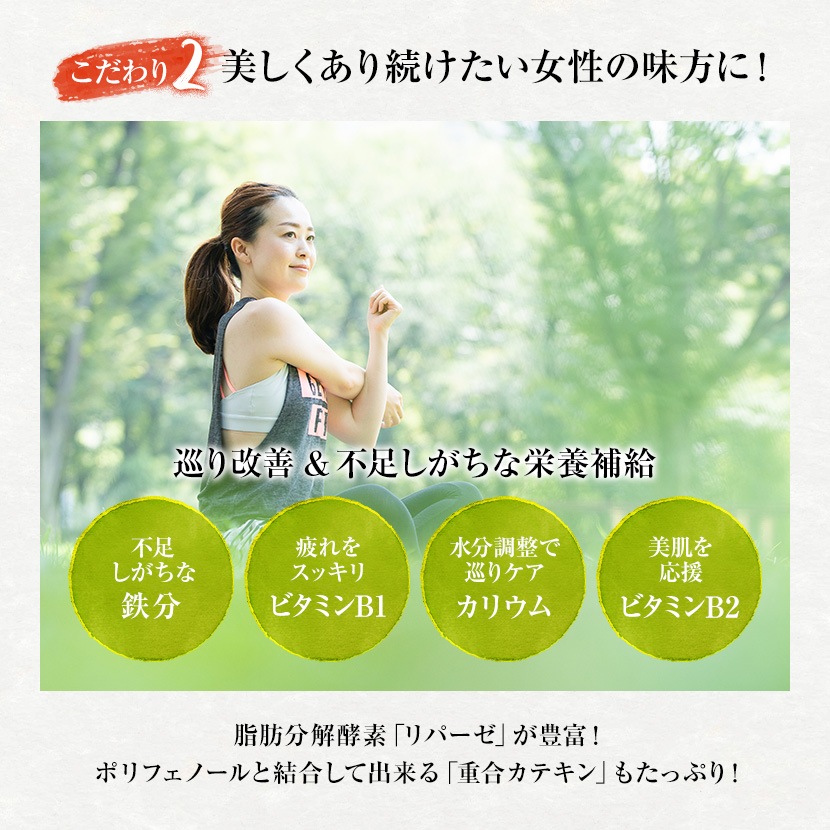 ץ ʹ200g(2g100(ܰ))̵ץƥХå1001300ߥݥåꡪڥץ ץ ץƥ