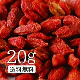 ������̵���۲��Ͳ��ʡ����������20�� ���������ܤΥ����ѡ��ա��ɥ����٥꡼��������ۡڤ����μ�/�����μ�/�����Τ�/�����٥꡼�ۤ��������