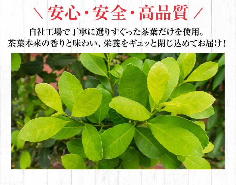 ޥʥ꡼ޥ˥ƥХå220g(2.2g100(ܰ))̵̵ź ꡼ޥڤޤ㡿ޥ