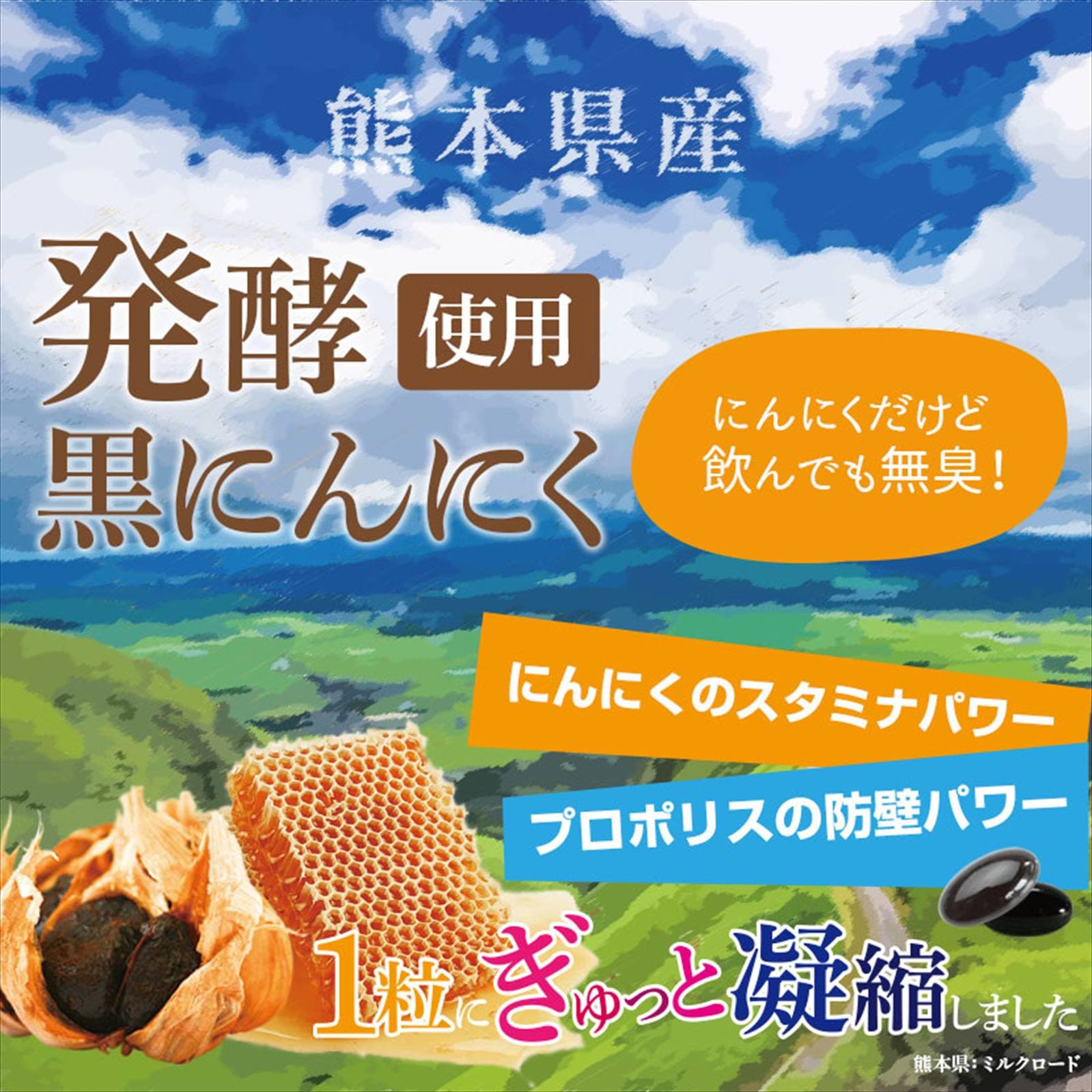 ץݥꥹ ץ ̵!ʼ֥饸븶ḁ̊́ץݥꥹ ܸȯڹˤˤץȡ̵ 30γ1ʬ