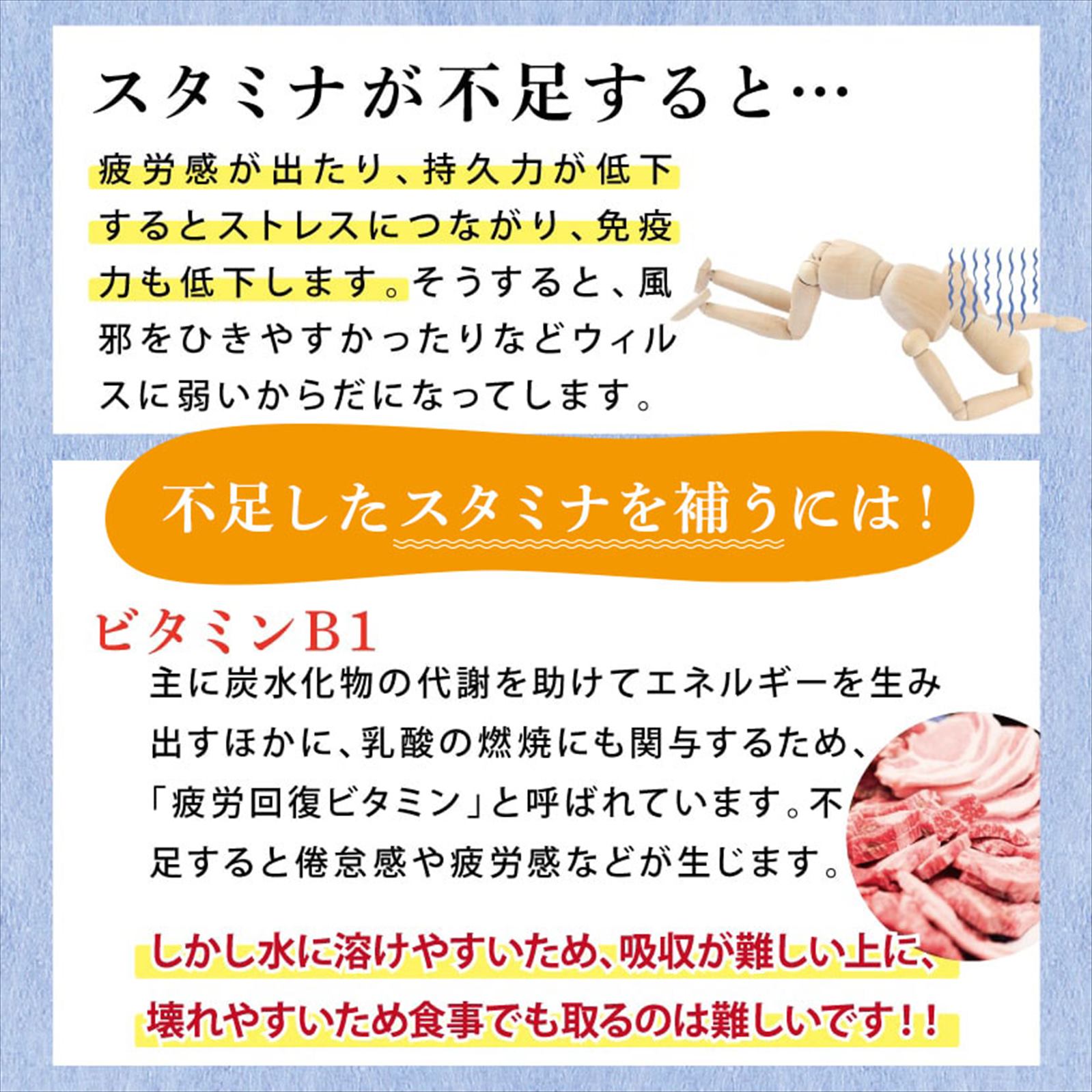 ץݥꥹ ץ ̵!ʼ֥饸븶ḁ̊́ץݥꥹ ܸȯڹˤˤץȡ̵ 30γ1ʬ