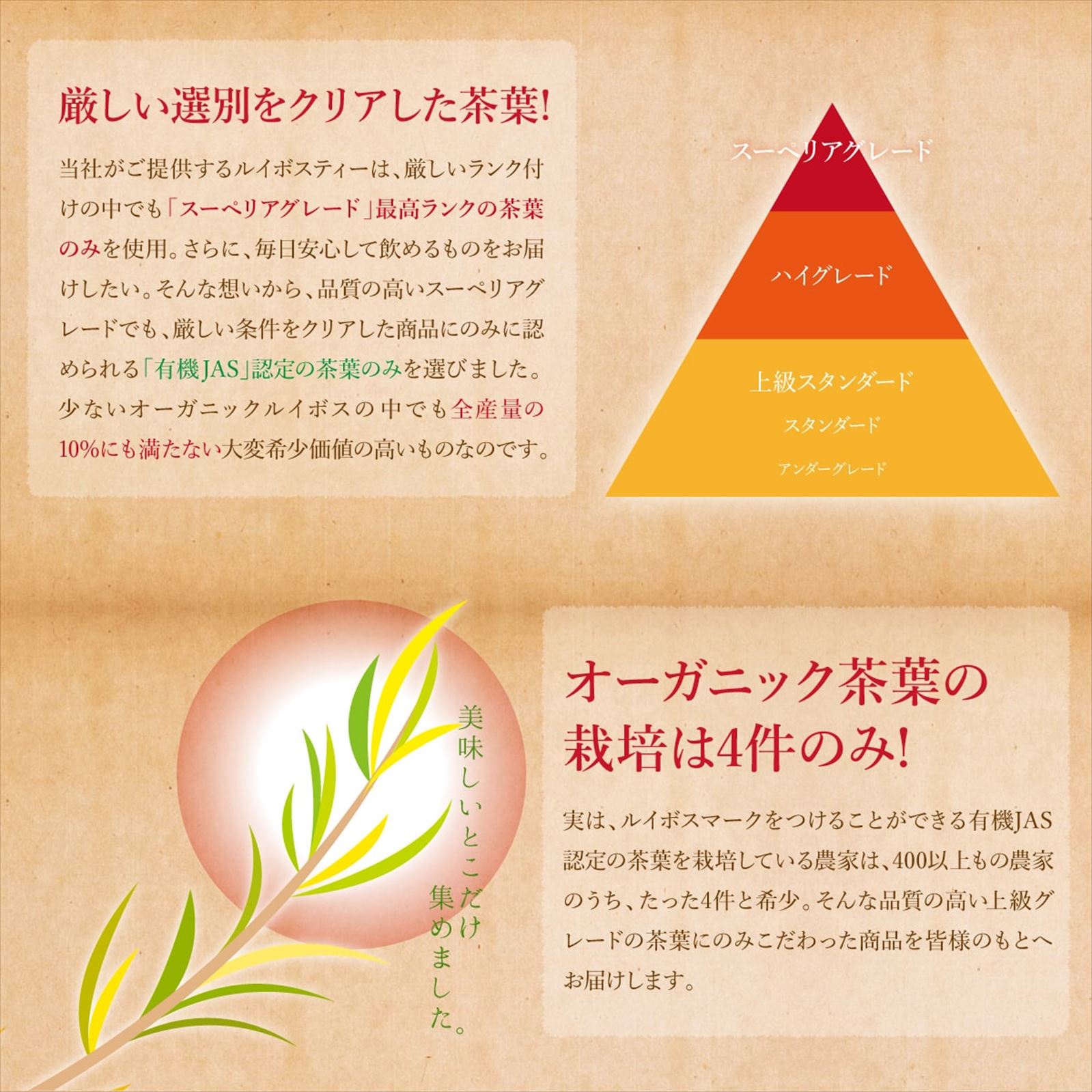 ڶ̳ѡۥ˥å륤ܥƥ̵ƥХå2000g(2g1000)ǹΥڥꥢ졼ɥ륤ܥƥ10009,300ߤ̵両Ѥߡ