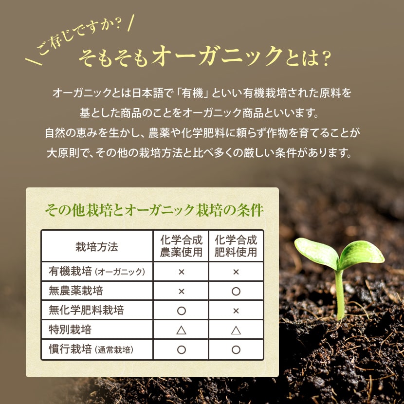 ��Ф�ͭ�����㡡�������� 30�� �彣���������˥å� ����̵�� ��Ĺ�ƥ����Хå��ǥڥåȥܥȥ�˽Ф������ñ��Ф�������/��礯����/greentea��