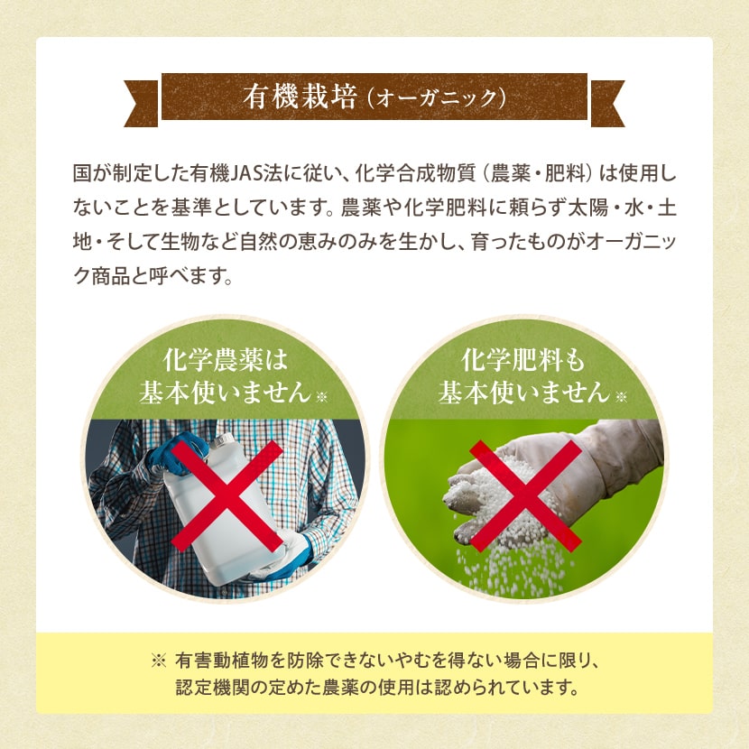 ��Ф�ͭ�����㡡�������� 30�� �彣���������˥å� ����̵�� ��Ĺ�ƥ����Хå��ǥڥåȥܥȥ�˽Ф������ñ��Ф�������/��礯����/greentea��