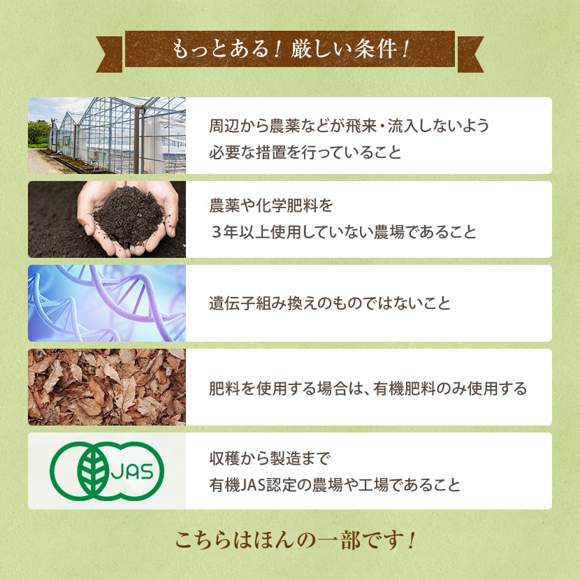 ��Ф�ͭ�����㡡�������� 30�� �彣���������˥å� ����̵�� ��Ĺ�ƥ����Хå��ǥڥåȥܥȥ�˽Ф������ñ��Ф�������/��礯����/greentea��