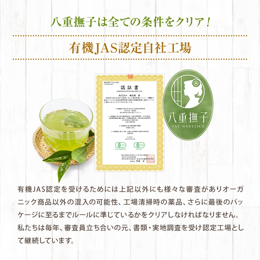 ��Ф�ͭ�����㡡�������� 30�� �彣���������˥å� ����̵�� ��Ĺ�ƥ����Хå��ǥڥåȥܥȥ�˽Ф������ñ��Ф�������/��礯����/greentea��