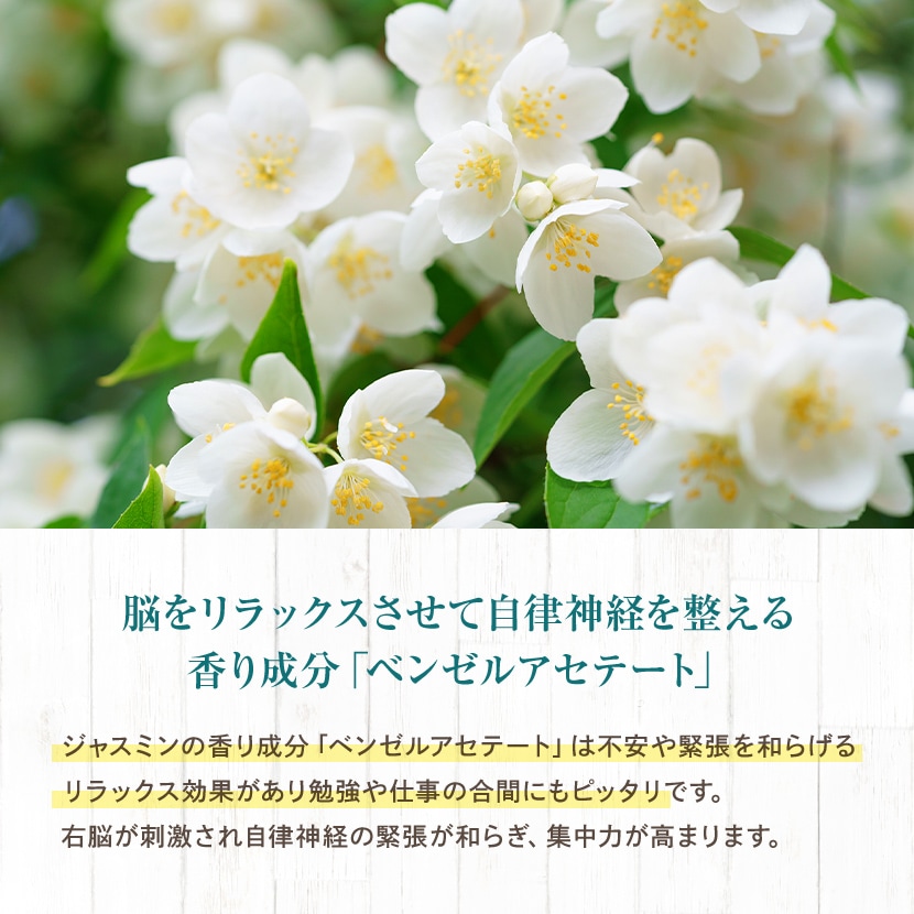 ������̵���ۥ��㥹�ߥ�ƥ���30�����ꡪ���㥹�ߥ���/����Ԥ���