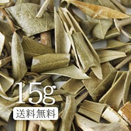 ������̵���۲��Ͳ��ʡ����꡼������15�硡�����Τ�����ǥĥ�ĥ�ˡ� ������ ���� ���꡼�� ���� ���꡼������ OM