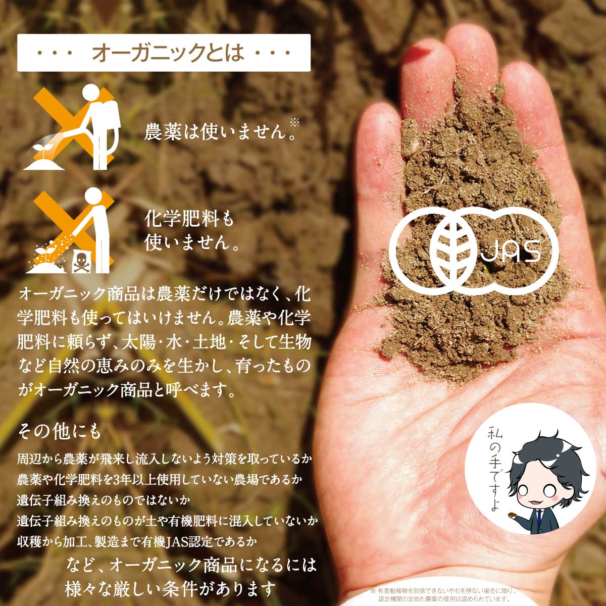 �����ѡ��ա����о졪���̥�(�������˥å�)500g������̵���Ǥʤ��1580�ߡ����Ӥ˾����Ǥ�ʢ���äѤ����ڥ��̥�/���̤���