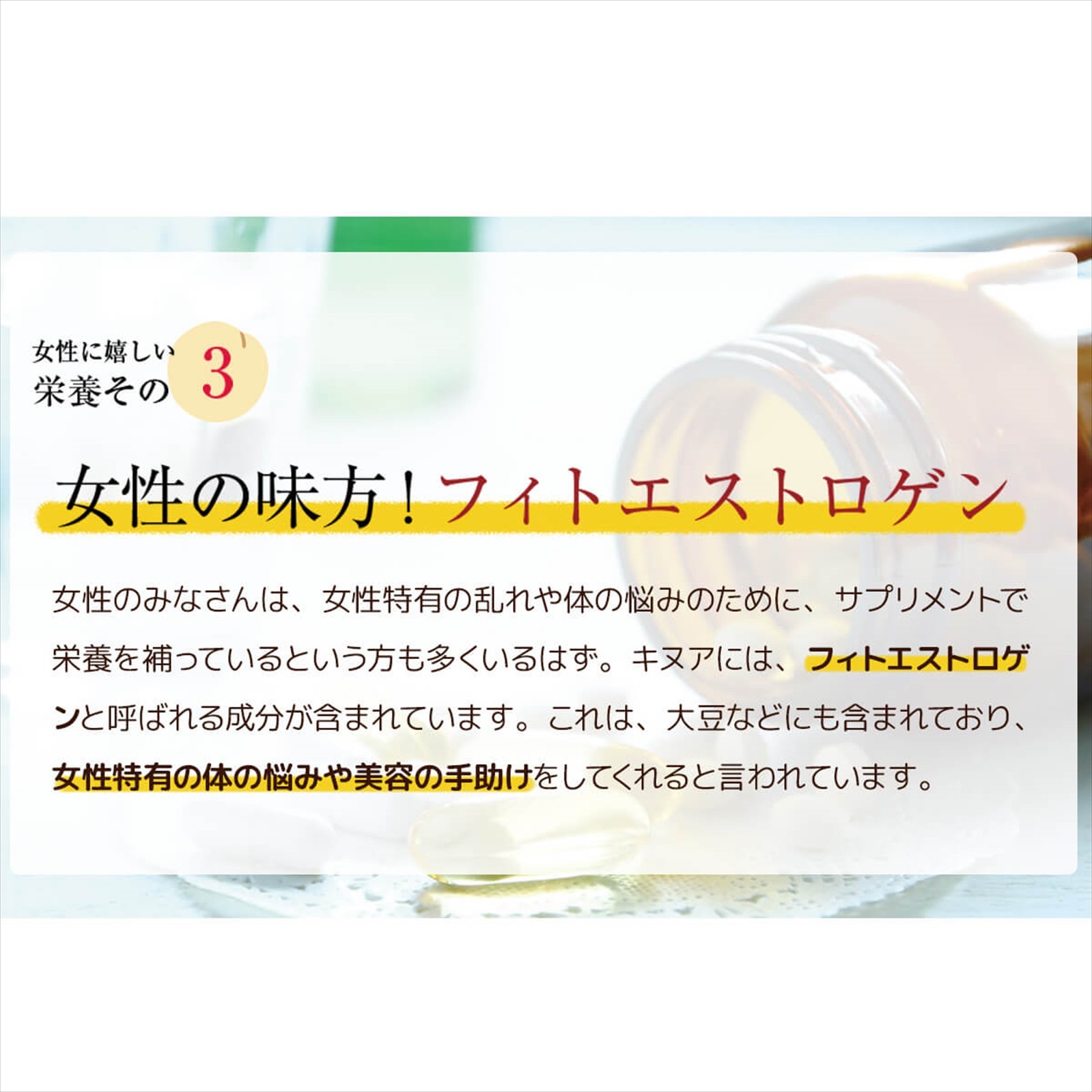 �����ѡ��ա����о졪���̥�(�������˥å�)500g������̵���Ǥʤ��1580�ߡ����Ӥ˾����Ǥ�ʢ���äѤ����ڥ��̥�/���̤���