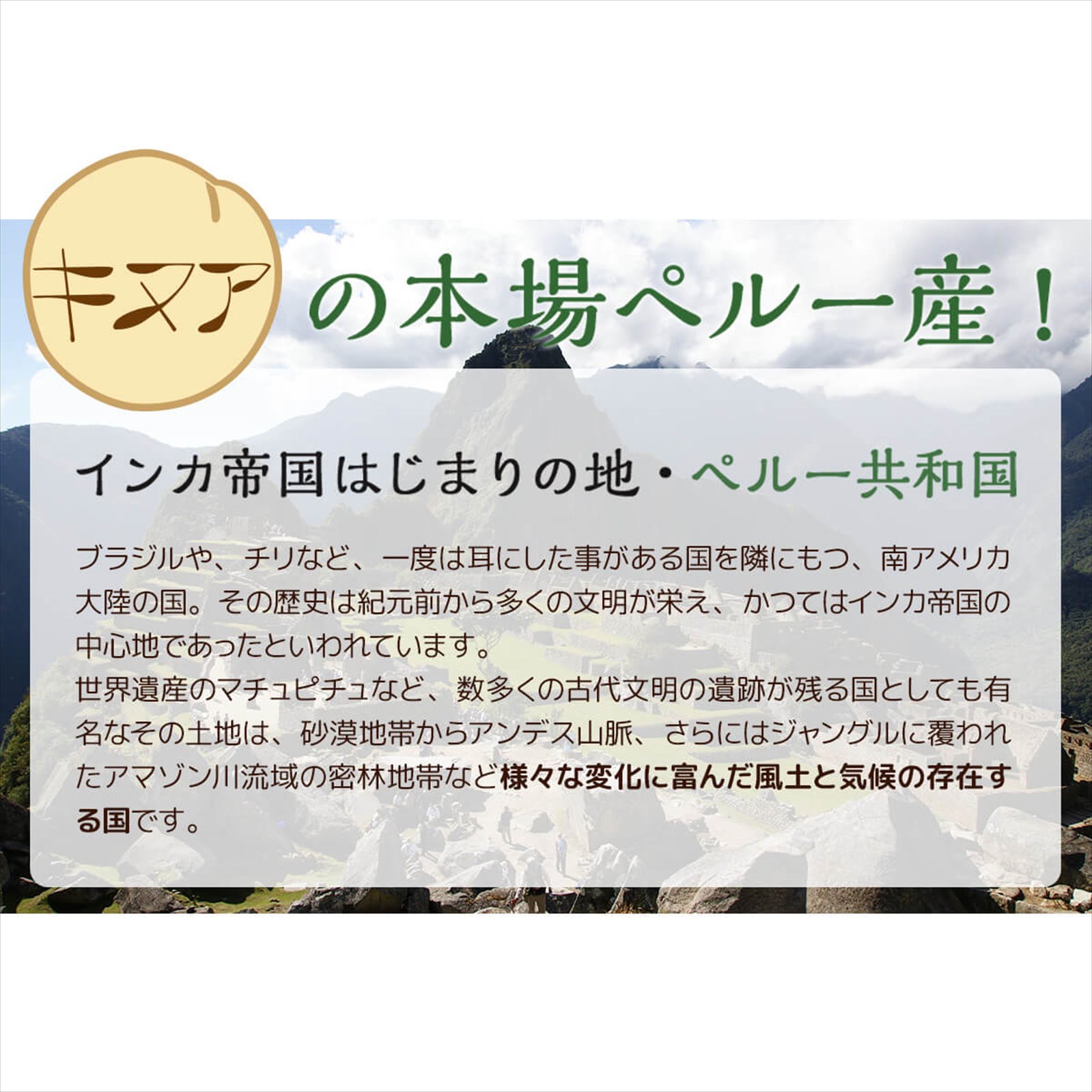 �����ѡ��ա����о졪���̥�(�������˥å�)500g������̵���Ǥʤ��1580�ߡ����Ӥ˾����Ǥ�ʢ���äѤ����ڥ��̥�/���̤���